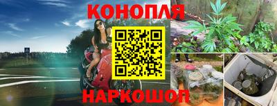 экстази Будённовск