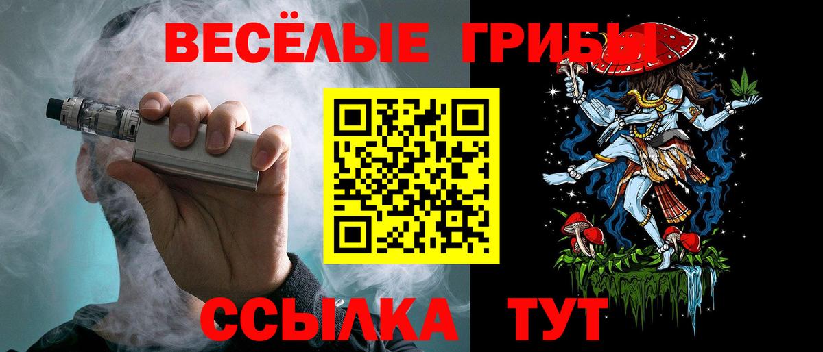 Серов  Галлюциногенные грибы мицелий  Вход с VPN 