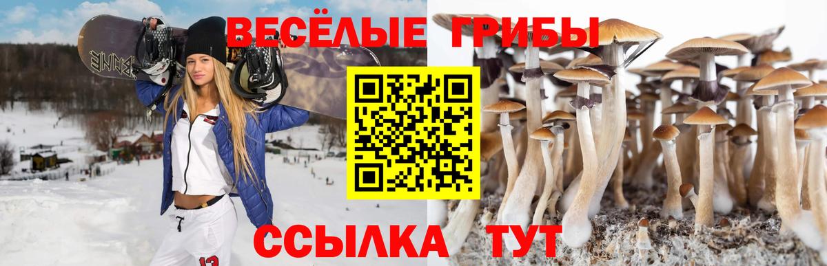 Галлюциногенные грибы Cubensis Серов